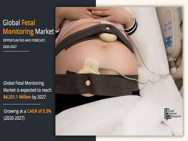  Fetal Monitoring Market Strategies: Innovations Redefining the Industry | CAGR 6.2% 