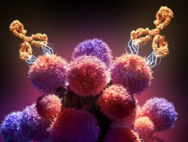  Monoclonal Antibody Therapeutics Market will generate new growth opportunities 2024-2031 | Pfizer Inc., Novartis AG 