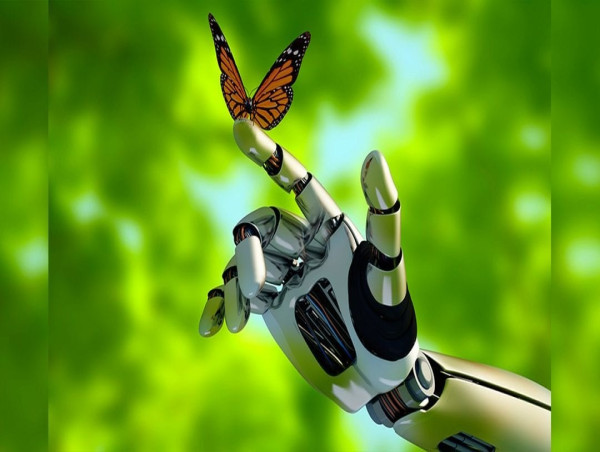  Bio-inspired Robotic Market Detailed Industry Report Analysis 2024-2030: Boston Dynamics, Festo, iRobot 