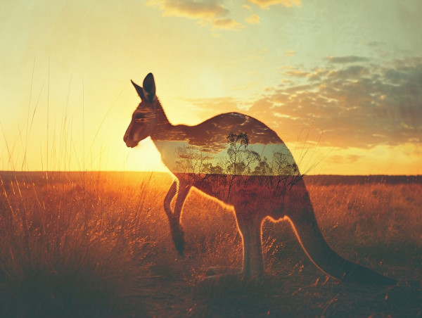 Crypto rally for BTC, ETH as investors seize opportunity with KangaMoon 