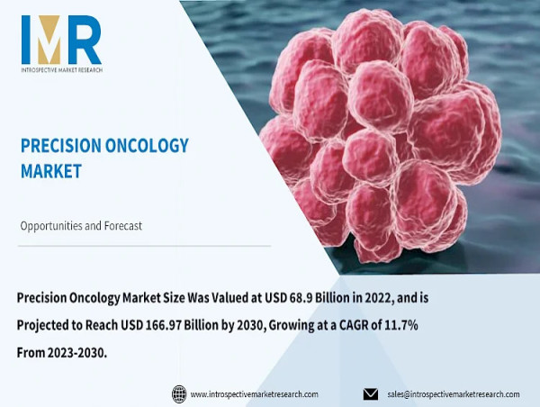 Precision Oncology Market to Capture a CAGR of 11.7%, Expected To Reach $166.97 Billion by 2030 | IMR