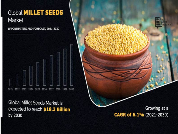  Millet Seeds Market Share, Size, Growth | Asia Pacific by South Korea, China, Singapore, Japan 