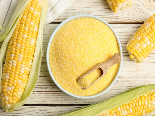  Cornmeal Market Expected to Reach $1.05 Billion by 2031, Driven by Rising Demand for Nutritious Food Products 