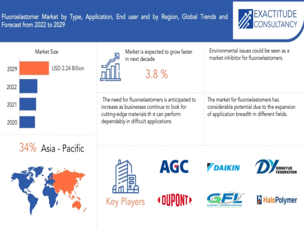 Fluoroelastomer Market Business Summation, Industry Examination, Standpoint 2024 to 2030 | Exactitude Consultancy