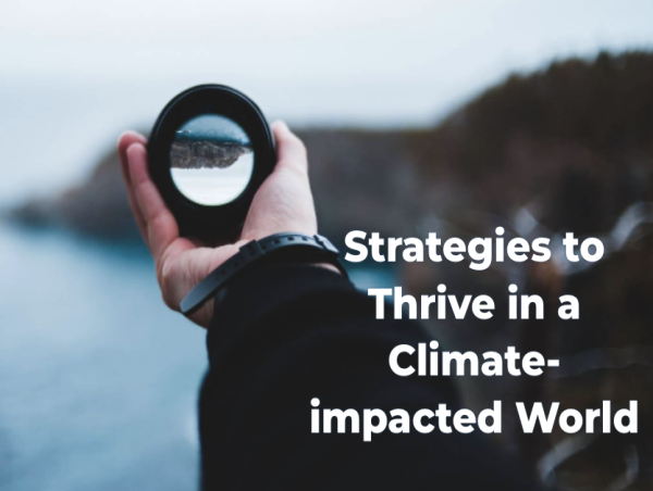 Two-Day Climate Adaptation Workshop at The Collider Empowers Business Sustainability and Resilience