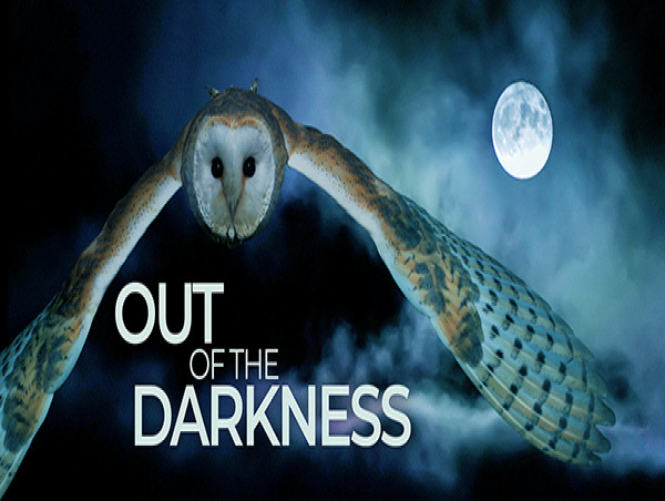  Out Of The Darkness, a Unique Night Soundscape Experience 