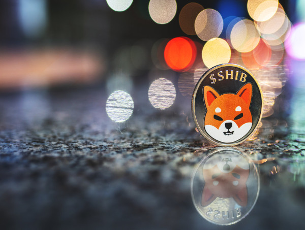  Memecoin market surges: Memeinator, Shiba Inu and Baby Doge Coin lead the way 