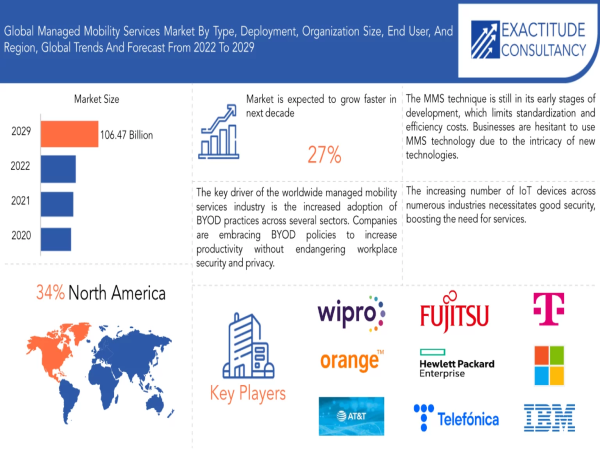 Global Managed Mobility Services Market Size to Worth USD 106.47 billion by 2030 With a 27% CAGR