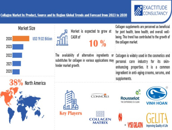 Collagen Market to hit USD 19.02 Billion by 2030, at a CAGR of 10% by Exactitude Consultancy
