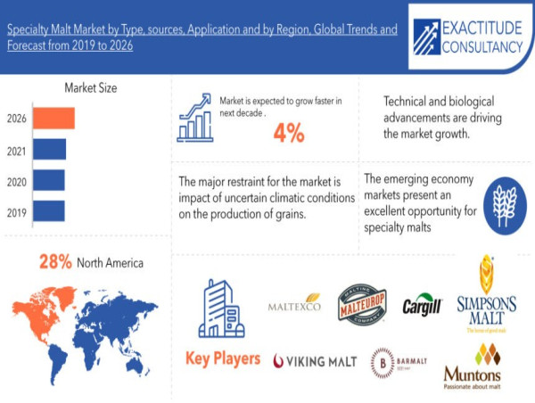 Specialty Malt Market to hit USD 5 billion by 2030, at a CAGR of 4% by Exactitude Consultancy