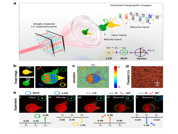  Novel method for controlling light polarization 