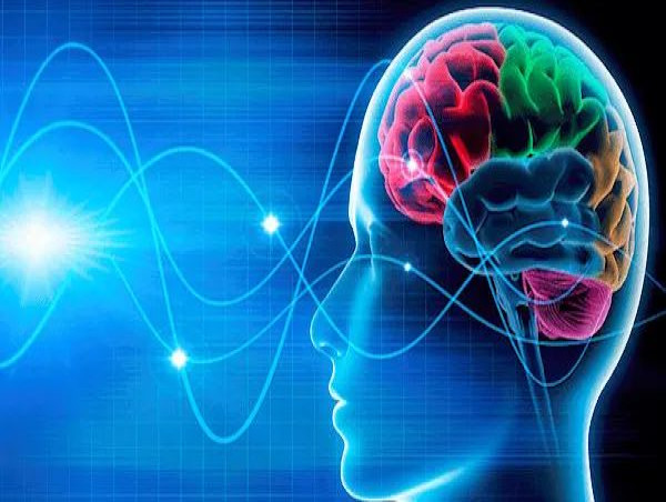 Neuroplasticity Market by Bright Future Trends, Drivers, Restraints, Opportunities 2024-2031: NeuroSky Inc., BrainHQ