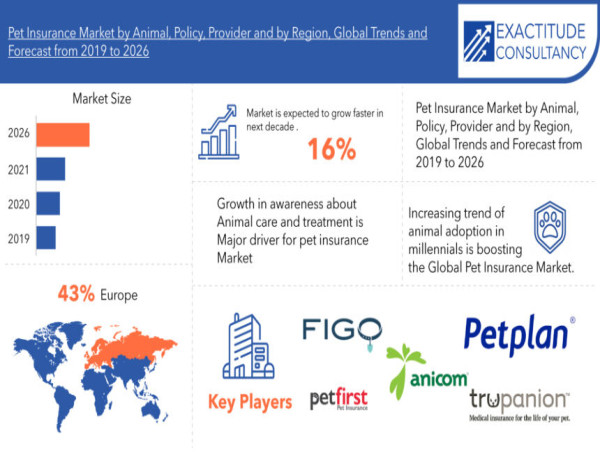 Pet Insurance Market is growing at a CAGR of 16% from 2024 to 2030 by Exactitude Consultancy