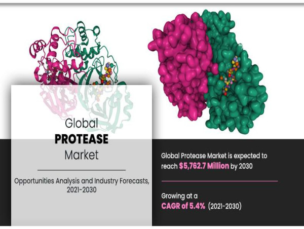  Protease Market Surges: Reaching $5,762.7 Million by 2030 