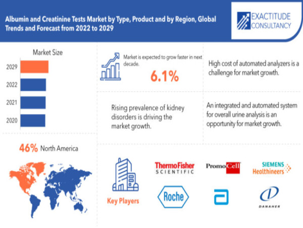 Albumin and Creatinine Tests Market is growing at a CAGR of 6.1% from 2024 to 2030 by Exactitude Consultancy