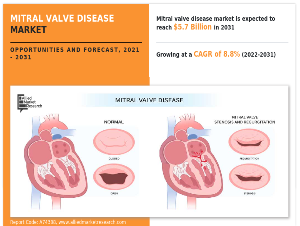  The mitral valve regurgitation segment dominated the mitral valve disease market 