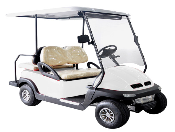 India Golf Cart Market Size, Industry Share, Worldwide Trends, Growth Opportunities By 2024-2031