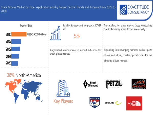 Crack Gloves Market to hit USD 20000 Million by 2030, at a CAGR of 5% by Exactitude Consultancy