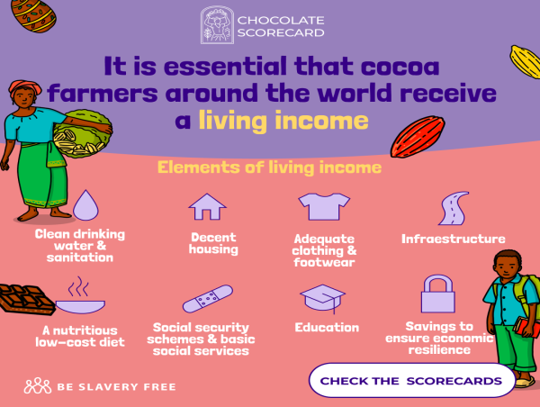  Chocolate Scorecard Winners and Discoveries 