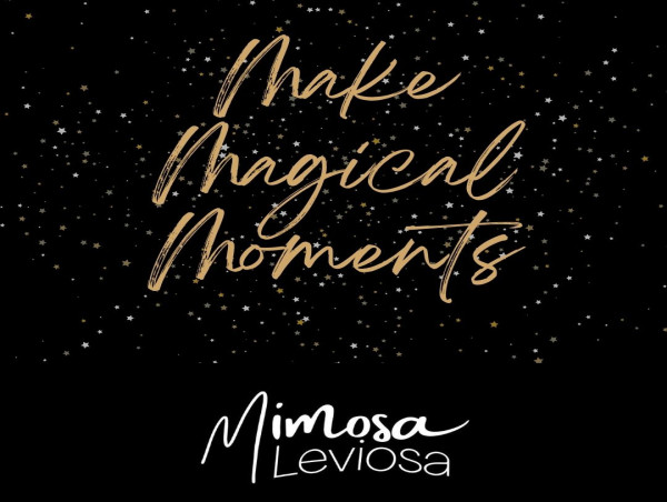 Mimosa Leviosa: Making Magical Moments via Kickstarter