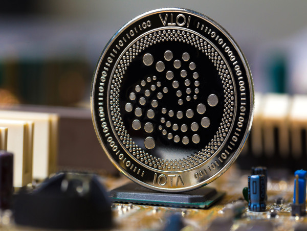  IOTA and Toncoin seek gains as Algotech picks presale momentum 
