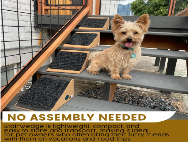 StairWedge Is Revolutionizing Pet Mobility with Innovative Stair Access Solution
