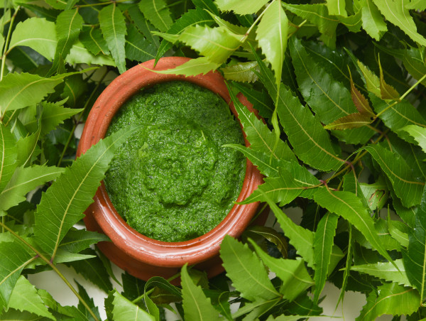 Ayurvedic Powerhouse Neem Enhances OM Botanical's Skin Care, Hair Care and Body care Products