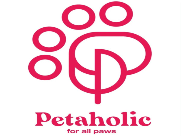  Petaholic.sa Announces Special Initiative to Support Stray Cats in Saudi Arabia 