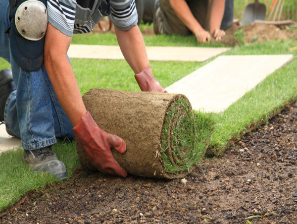 Primrose Landscaping Prepares for Spring Projects, Offering Maintenance, Lawn Care, and Interlocking Services