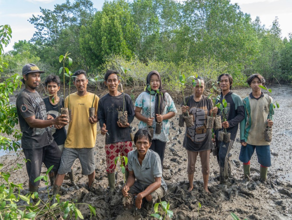  'Plant One Tree' In 'One Click' To Celebrate World Planting Day As International Animal Rescue Shares Successful Mangrove Planting Results 