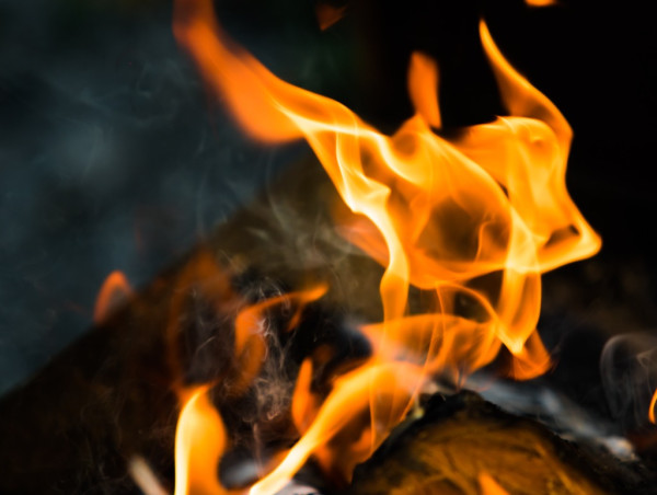 Bald developer destroys 60% of BALD token supply after rug pull incident