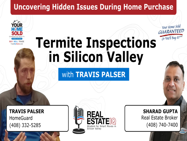  Termite Inspections: Uncovering Hidden Issues During Home Purchase in Silicon Valley 