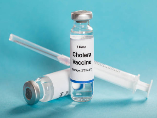  Cholera Vaccines Market Business Strategies, Current Insights, Regional Developments | Celldex Therapeutics, Valneva SE 