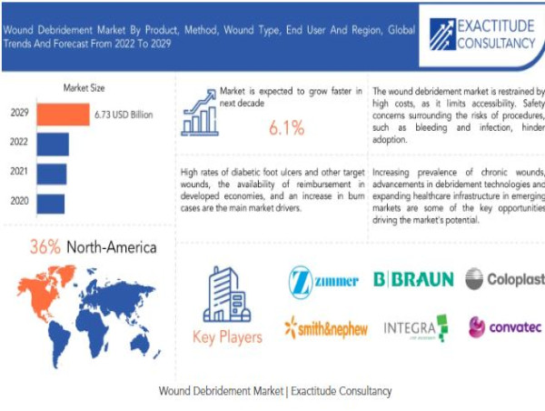  Wound Debridement Market is growing at a CAGR of 6.1% from 2024 to 2030 by Exactitude Consultancy 