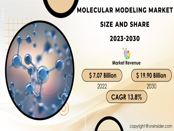 Molecular Modeling Market Size to Reach USD 19.90 billion by 2030