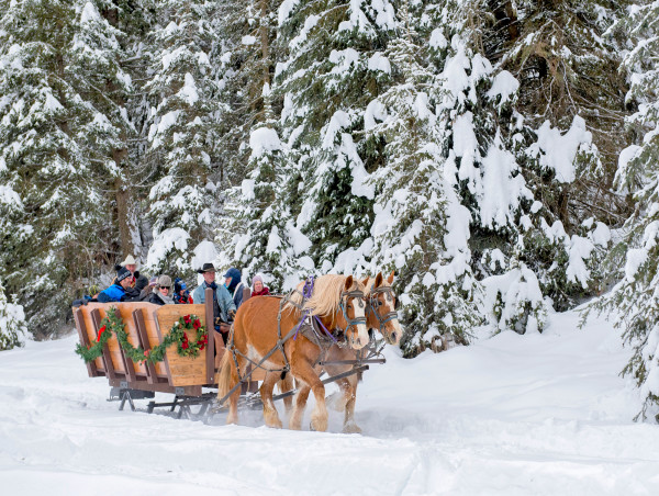 Whitefish Dude Ranch KAGEs Massive Snowfall