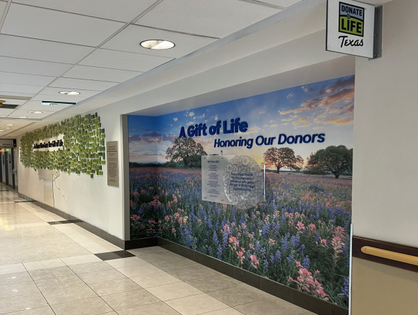  Healthcare Art Consulting & Quality Art House Celebrate Donate Life Month with Recently Completed Recognition Wall 