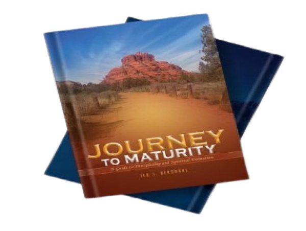  From Seeker to Sage: Crafting the Blueprint for Spiritual Evolution in 'Journey to Maturity' 