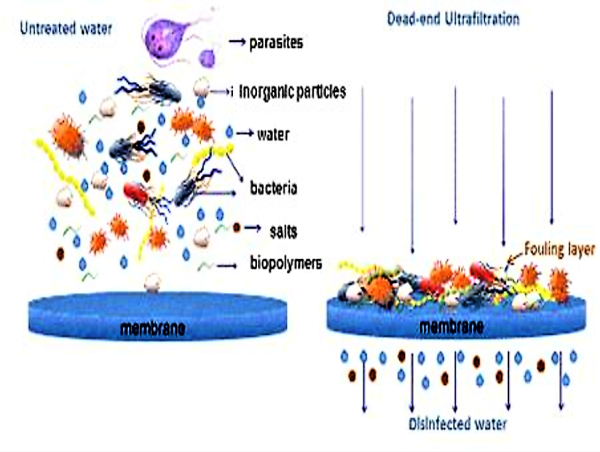 Membrane Filtration Market Present Scenario and Growth Analysis till 2030: 3M Company, Koch Membrane Systems, GEA Group 