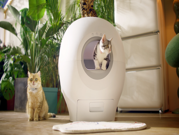  Petgugu Unveils Smart Cat Toilet, Transforming Feline Care Through Advanced Automation and Remote Monitoring Features 