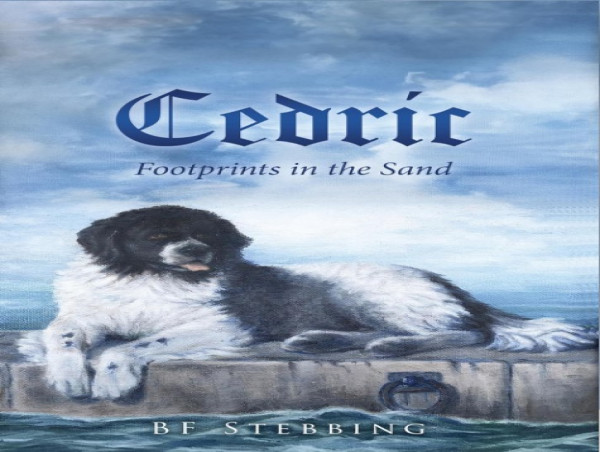 Cedric - Footprints in the Sand: A summary by the author Barry F Stebbing