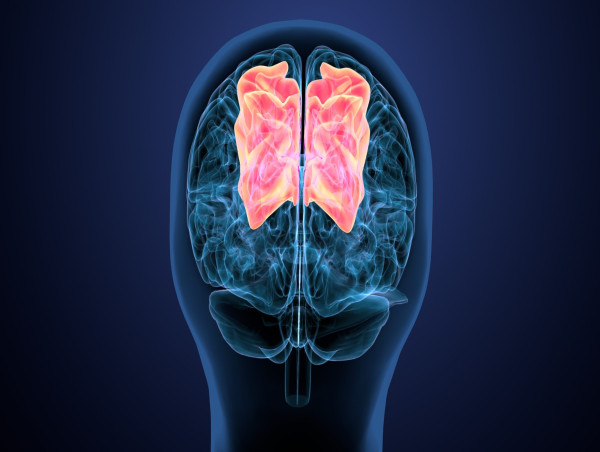 Helius Medical stock rallies 40%: explore why
