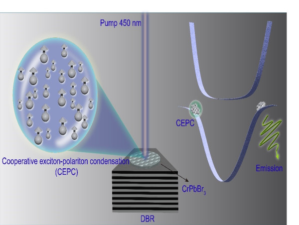  Cooperative Exciton-Polariton Condensate Successfully Created 