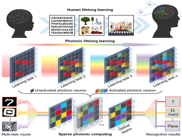  Photonic neuromorphic architecture for tens-of-task lifelong learning 