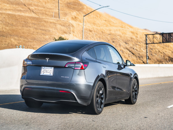 Lekander warns Tesla ‘could go bust’, sees $TSLA worth $14 only