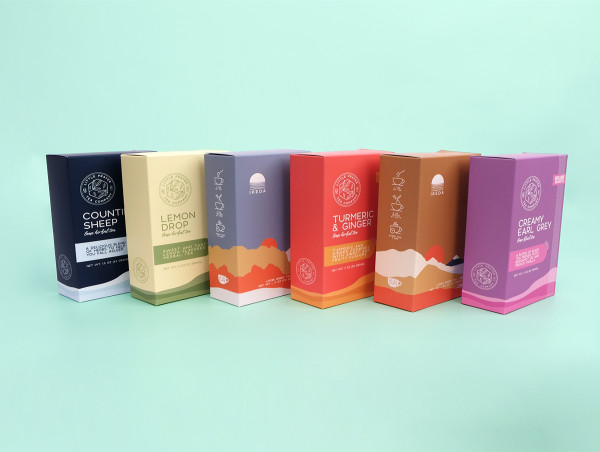 Sttark's Bold Leap into Folding Cartons: A Testament to Lean Startup Methodology in Manufacturing