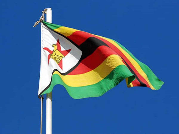  Will the new Zimbabwe ZiG survive where the Zim dollar failed? 