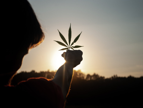 Tilray no longer expects positive free cash flow in 2024 after Q3 earnings