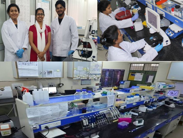  IIT Roorkee Professor's Study Finds Fbln7-C Can Delay the Reprogramming Process of Tumor-associated Macrophage (TAMs) 