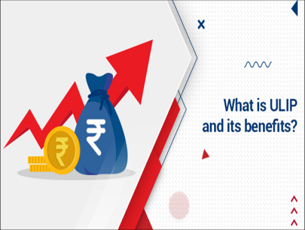  Exploring ULIP Policies: A Unique Blend of Insurance and Investment 